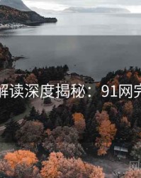全面解读深度揭秘：91网完整版