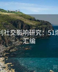 粉丝安利社交影响研究：51爆料专题汇编