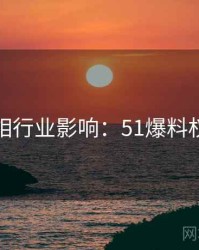 幕后真相行业影响：51爆料权威分析