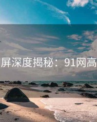 全网刷屏深度揭秘：91网高清资源