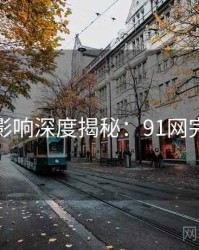 社交影响深度揭秘：91网完整版