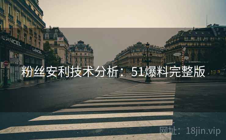 粉丝安利技术分析：51爆料完整版