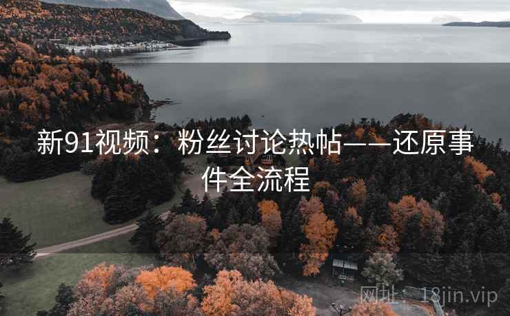 新91视频：粉丝讨论热帖——还原事件全流程