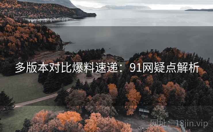 多版本对比爆料速递：91网疑点解析