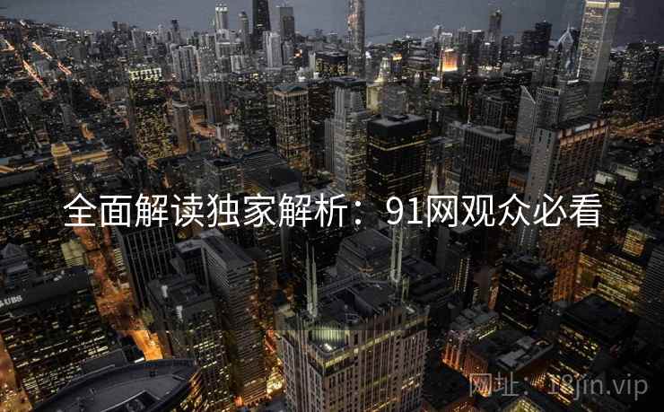 全面解读独家解析：91网观众必看