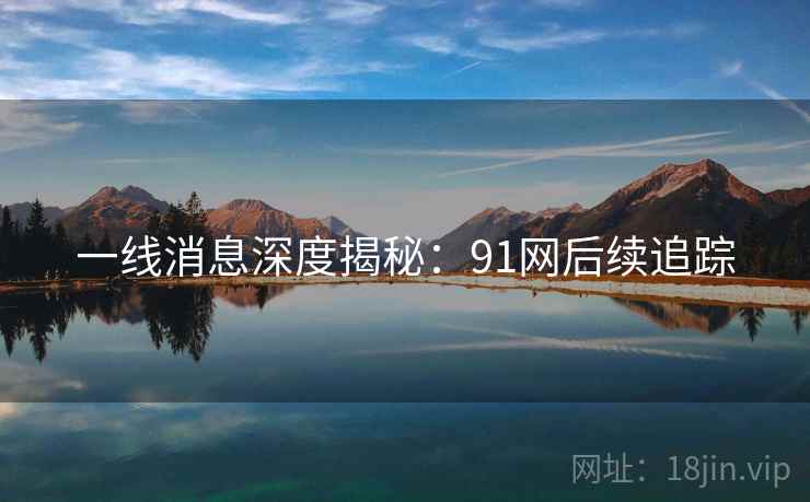 一线消息深度揭秘：91网后续追踪