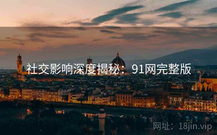 社交影响深度揭秘：91网完整版