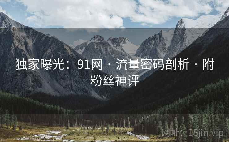 独家曝光：91网 · 流量密码剖析 · 附粉丝神评