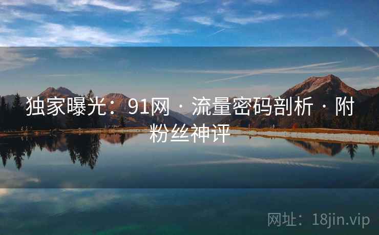 独家曝光：91网 · 流量密码剖析 · 附粉丝神评