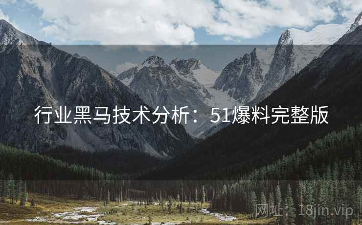 行业黑马技术分析：51爆料完整版