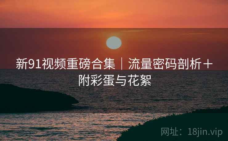 新91视频重磅合集｜流量密码剖析＋附彩蛋与花絮