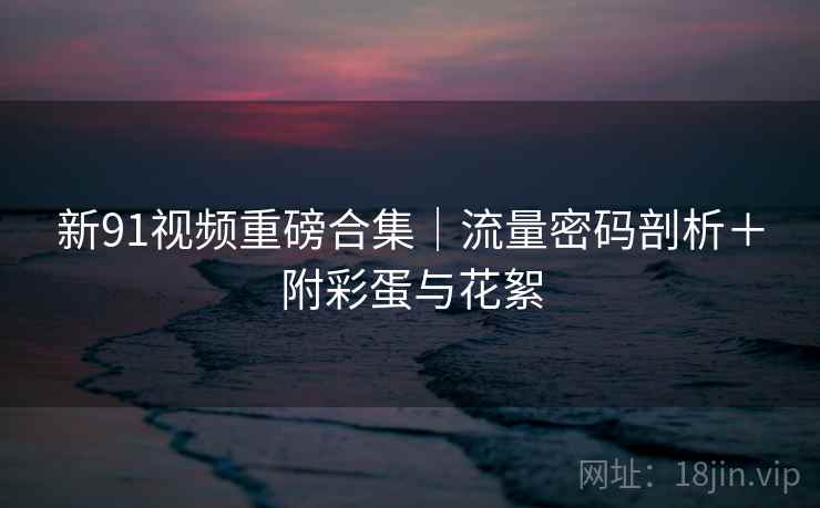 新91视频重磅合集｜流量密码剖析＋附彩蛋与花絮