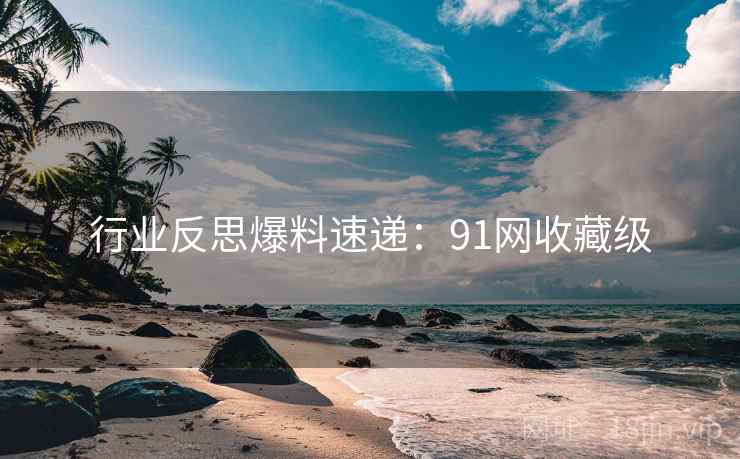 行业反思爆料速递：91网收藏级